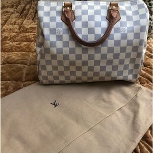 Louis Vuitton purse